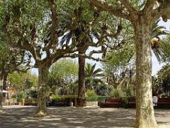 183 D36 LE LAVANDOU_000061